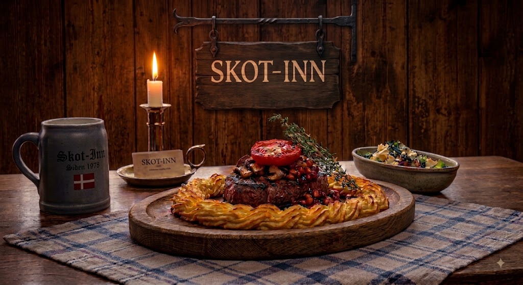 Skot inn